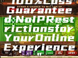 "100% Loss Guaranteed: No IP Restrictions for Your Online Experience"